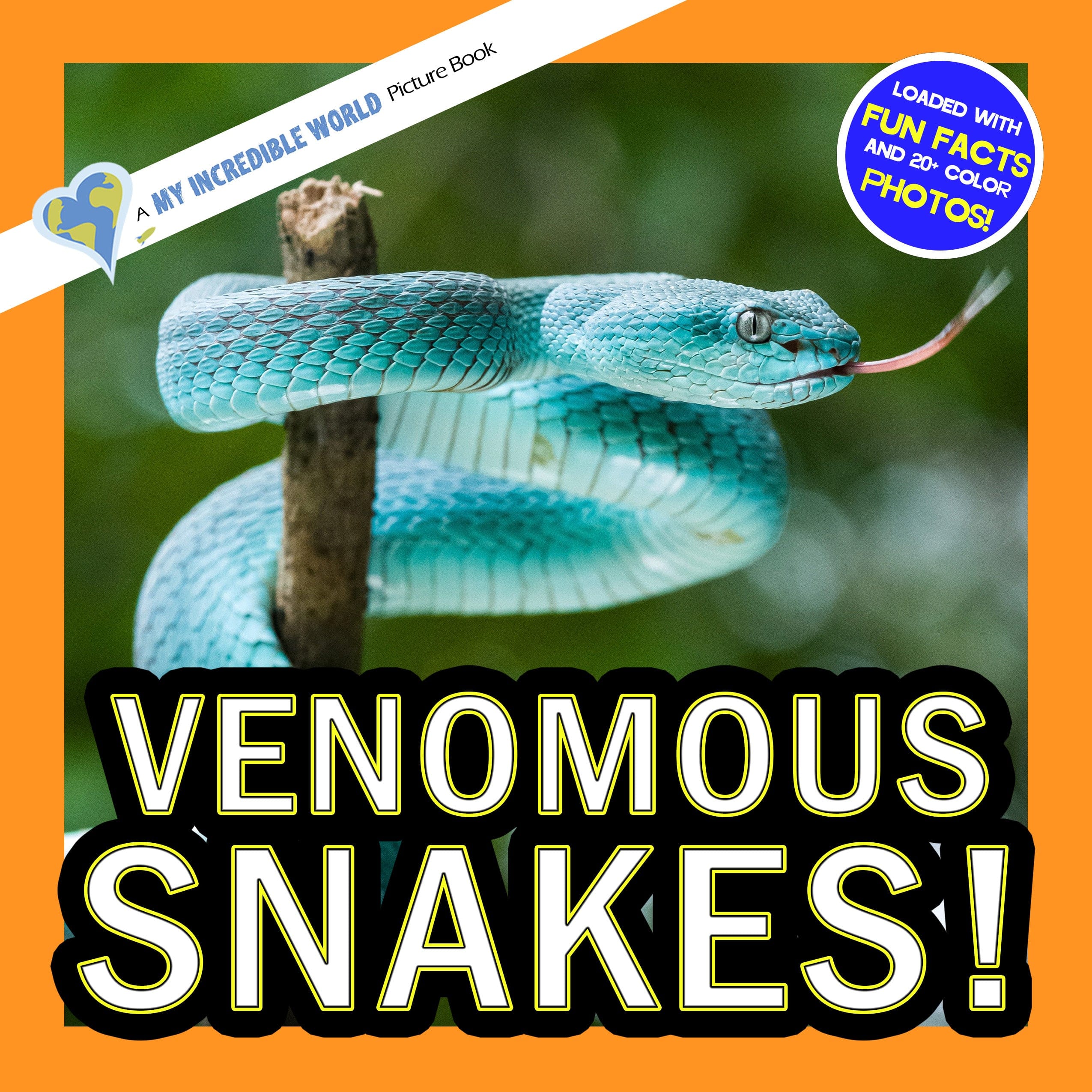 Venomous Snakes! A My Incredible World Picture Book for Children